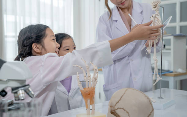 istock Asian kid learning with doctor in the laboratory. Physical examination and science education class. 1416368600