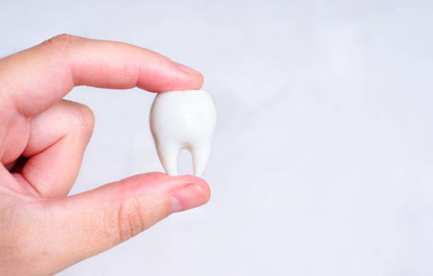 istock Large white tooth in hand isolated 1416379866