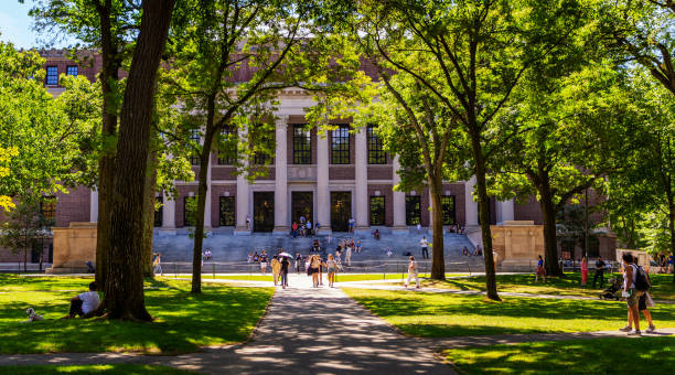 harvard yard und widener library - harvard universität - cambridge massachusetts - campus stock-fotos und bilder