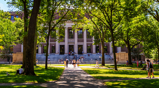Cambridge, Massachusetts, USA - August 19, 2022: A crowded Harvard Yard on a summer day, the Widener Library building in the background. The Harry Elkins Widener Memorial Library, housing some 3.5 million books in its stacks, is the center­piece of the Harvard College Libraries.