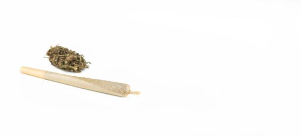 istock Cannabis cigarettes and marijuana flowers on a white background with copyspace. 1416387151