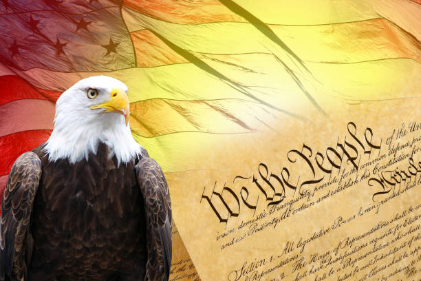 istock We the people, American flag, American eagle 1416389595