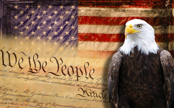 istock Constitution - We the people, American flag, American eagle 1416389599