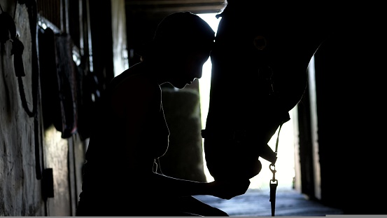 against the light, outlines, figures of a girl and a horse. the girl is feeding her horse from the hand. in the stable. High quality photo