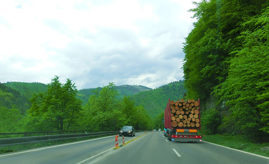 Timber transport logs on the mountain road