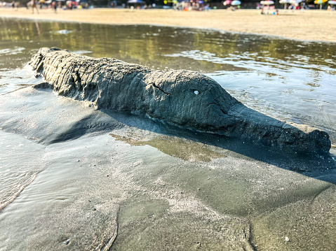 Handmade crocodile in the sand