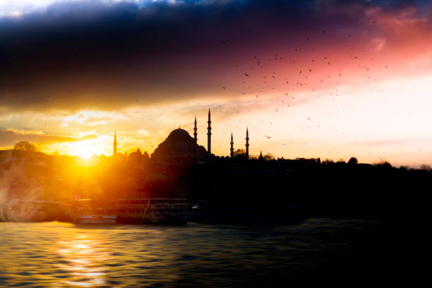 nuova moschea a istanbul turchia. vista dalla cima della torre di galata. - travel europe night dome foto e immagini stock
