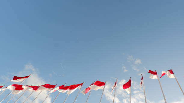 istock row of flags with low angle view against a clear blue sky 1416426561