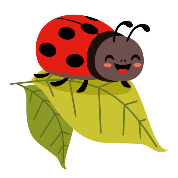 cartoon-illustration eines marienkäfers - ladybug stock-grafiken, -clipart, -cartoons und -symbole