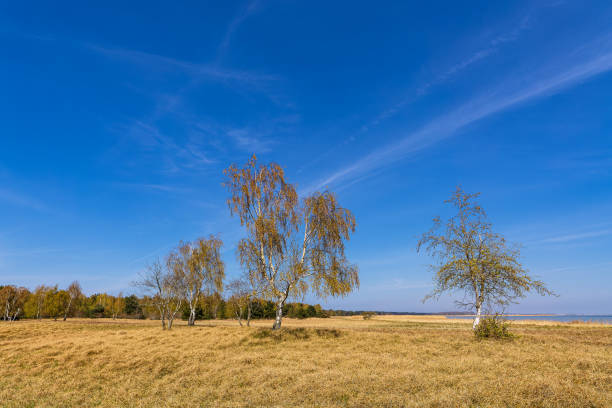 istock Landscape between Vitte and Neuendorf on the island Hiddensee, Germany 1416437819