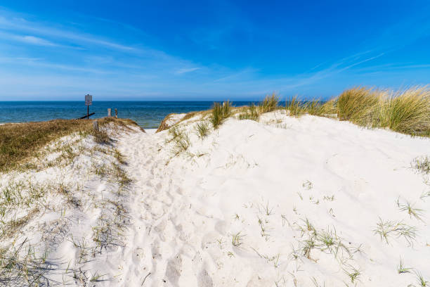 istock Beach and dunes in Neuendorf on the island Hiddensee, Germany 1416437842