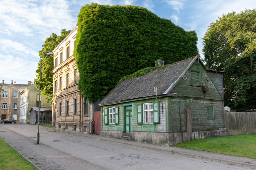 The brick house, which one wall is overgrown with creepers in Ventspils, Latvia.