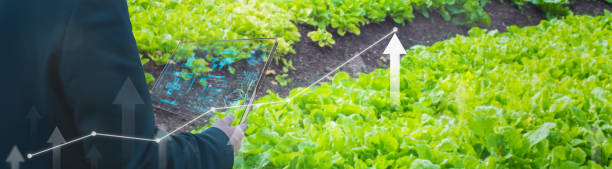 istock Business smart farmer using smart tablet,farming production control,concept agricultural product control technology,agriculture future trading world market,track productivity,satellite for Agriculture 1416441037