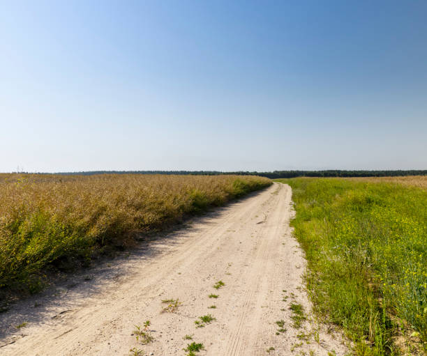 istock Gravel highway in rural areas 1416449486