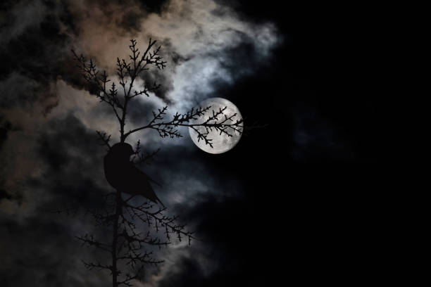 istock Moonscape in dark night. Black sky background. 1416451535