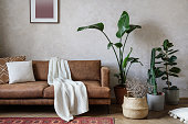istock Living room with potted plants and couch in modern apartment 1416451617