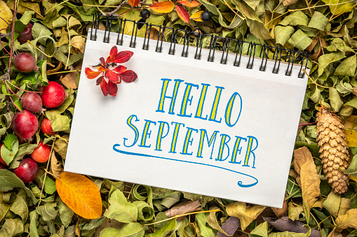 Hello September cheerful greeting note - handwriting in a spiral sketchbook against background of colorful dry leaves, cones, berries and crab apples