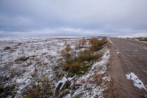 Tundra (moss field) in winter season, Terabika, Murmansk, Russia