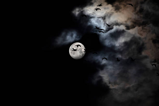 istock Moonscape in dark night. Black sky background. 1416453654