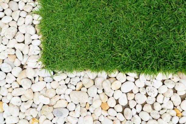 Close-up of green grass and small stonestexture on top view