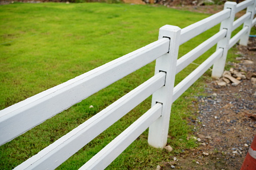 white fence and Green pastures of horse farms