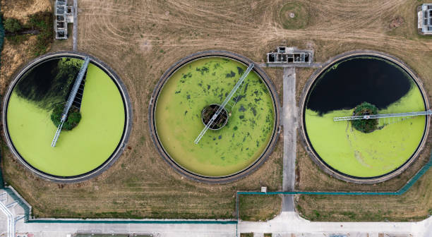 istock Aerial view above waste water treatment plant with green algae 1416468570