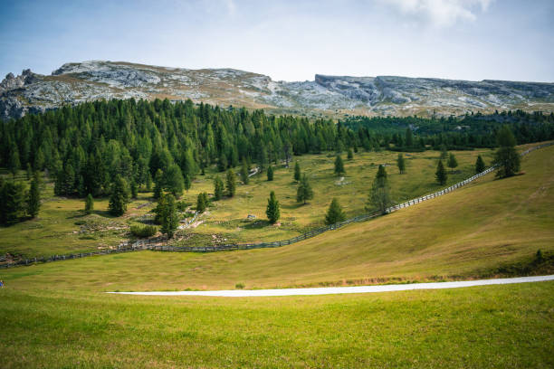 fantastic view on prato piazza and mount specie in trentino