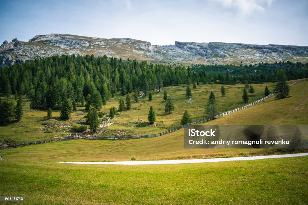 fantastic view on prato piazza and mount specie in trentino Forest Stock Photo