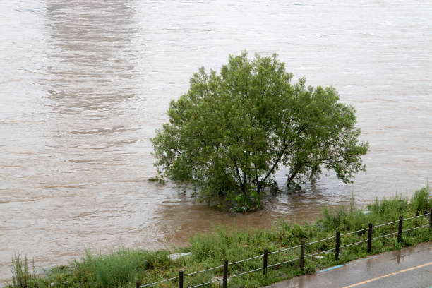 istock Yeoju Namhan Riverside after a heavy rain 1416473386