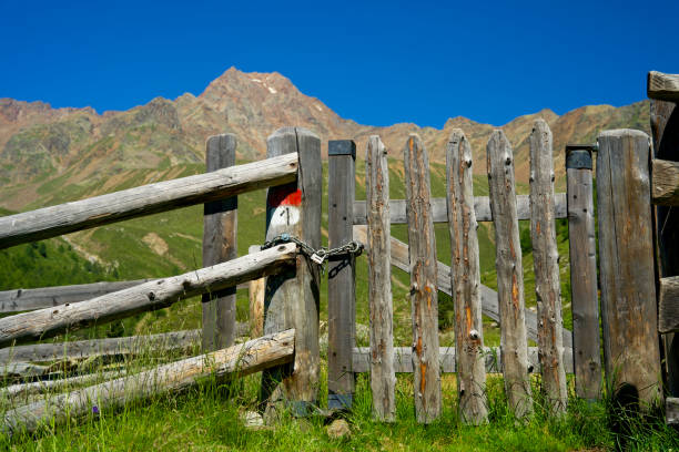 südtirol에있는 고산 초원에 문이있는 나무 울타리 - country road fence road dolomites 뉴스 사진 이미지