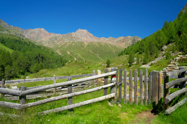 деревянный забор с воротами на альпийском лугу в зюдтироле - country road fence road dolomites стоковые фото и изображения