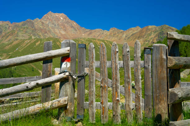 südtirolの高山牧草地に門のある木製のフェンス - country road fence road dolomites ストックフォトと画像
