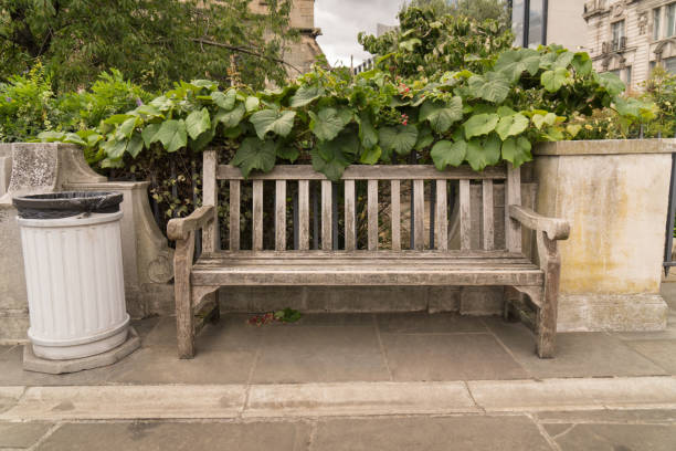 romantic bench public park trash can recreation Close up of weathered romantic wooden bench in public park in London next to trash can surrounded by green leaves as concept for recreation resting and relaxing in big city hyde park flowers stock pictures, royalty-free photos & images