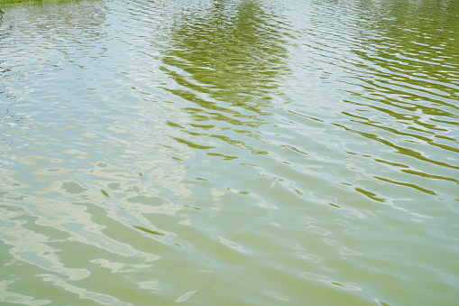 Reflected in rippled pool of water makes an abstract background