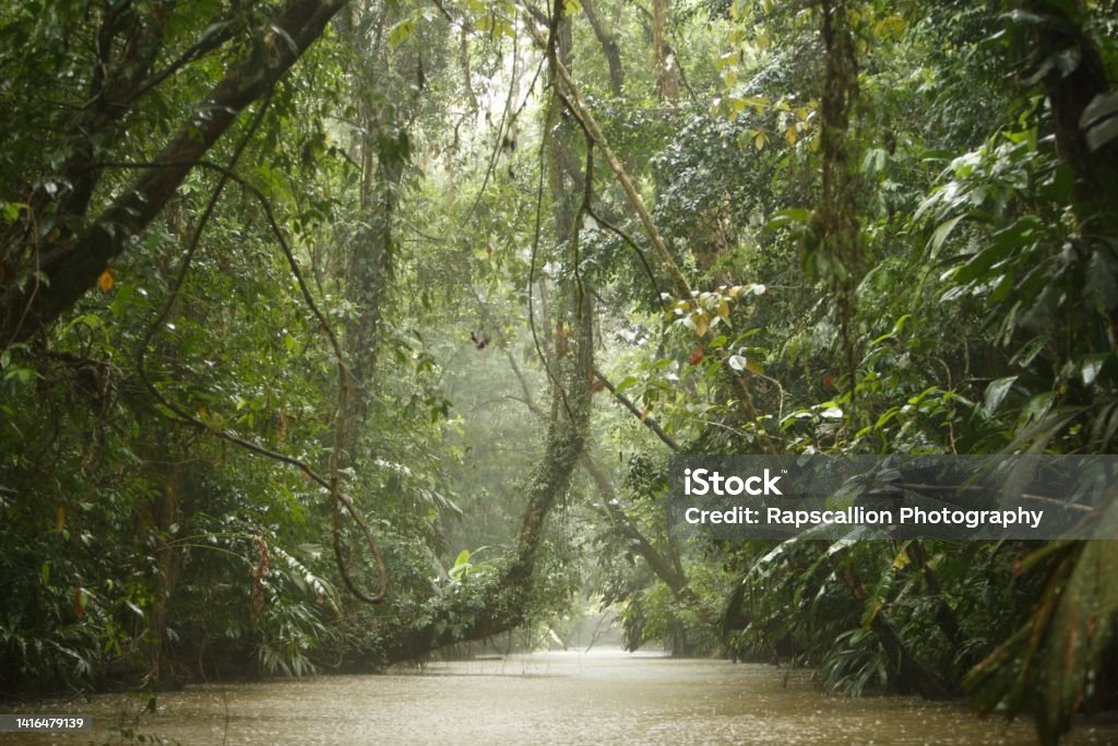 Traversing the Rainforest Rainy Vista travelling through the Tortugero National Park, Limon, Costa Rica National Park Stock Photo