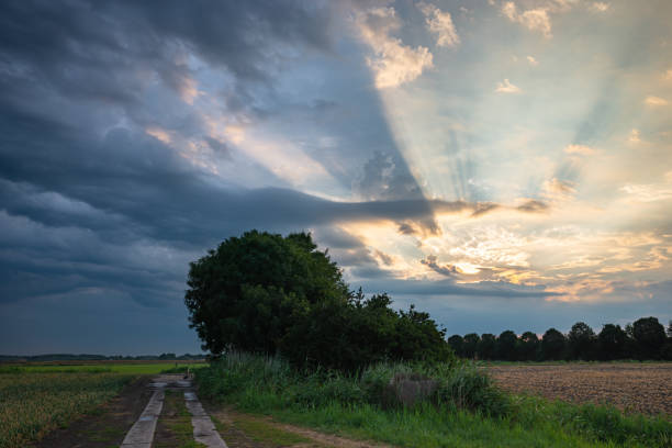 Dramatic image of sun rays that seem to emerge from one point behind the clouds. In meteorology this is known as crepuscular rays. This phenomenon occured at the back of a thunderstorm.