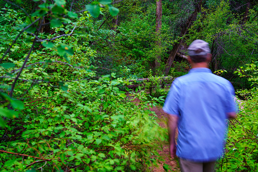 Man Walking Along Hiking Path Outdoors - Scenic wilderness setting in forest along mountain creek with hiker man enjoying the outdoors recreating.