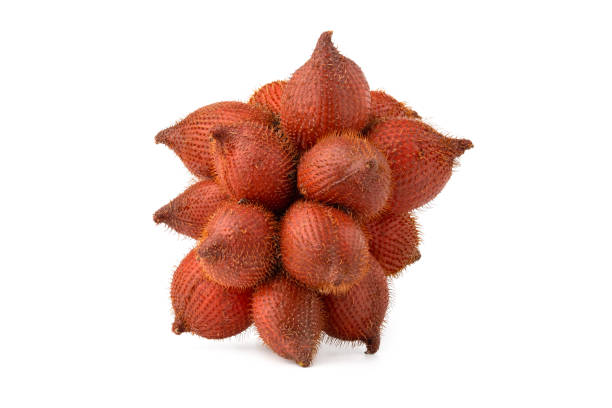 istock Close up Whole of Salak (Salacca zalacca) fruit 1416484447