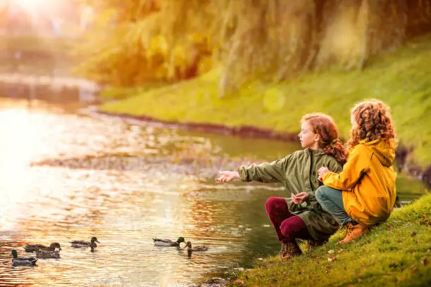 Photo of Two red-haired schoolgirl girls, sisters, cheerfully feeding ducks on the bank of a pond in a city park during the golden autumn leaf fall.
