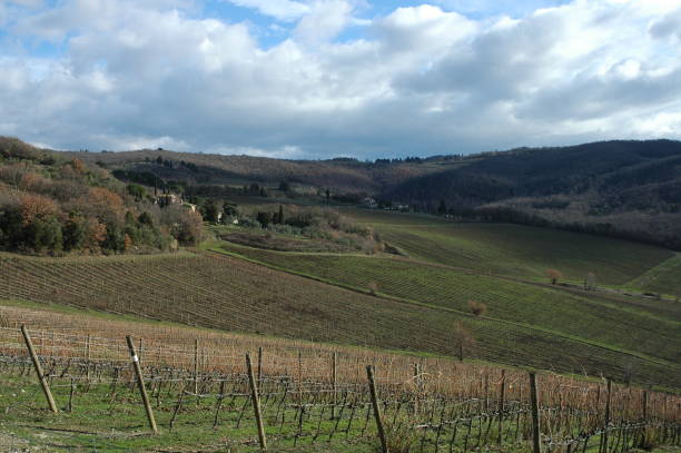 istock high quality Chianti vineyards in Passignano 1416498747