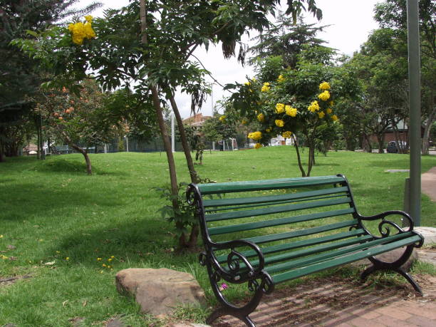 Dark green wood and wrought iron bench in a park