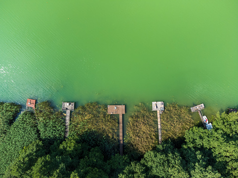 aerial view of several wooden jetties on the shore of the lake