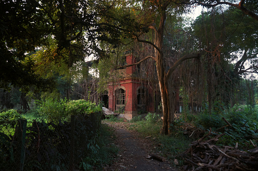 An abandoned old vintage looking house in state of despair, mostly covered in jungle weeds with strangling roots gradually collapsing brick walled building. Shot taken inside Acharya Jagadish Chandra Bose Indian Botanic Garden at Howrah, West Bengal.\nDue to negligence and lack of maintenance work, the garden view have degraded and it often feels like walking inside the jungle.