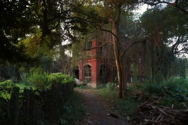 Photo of Visiting inside Indian Botanic garden at Shibpur, Howrah