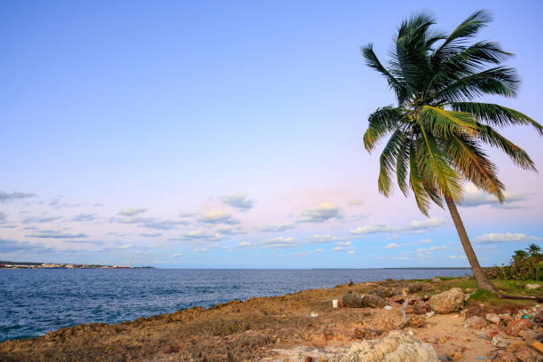 istock Tropical Landscapes 1416503588