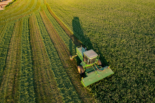 In Door County, WI, a farmer on a John Deere tractor, cuts his alfalfa field in late August.
