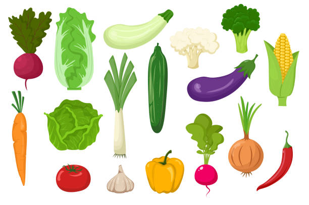 ilustrações de stock, clip art, desenhos animados e ícones de large set of vegetables isolated on a white background. flat style - pimento