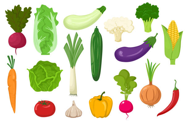 Large set of vegetables isolated on a white background. flat style Large set of vegetables isolated on a white background. flat style. cauliflower nutrition stock illustrations