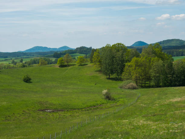 istock idyllic spring landscape lucitian mountains, with lush green grass meadow, fresh deciduous and spruce tree forest, hills, blue sky white clouds background, horizontal, copy space 1416541427