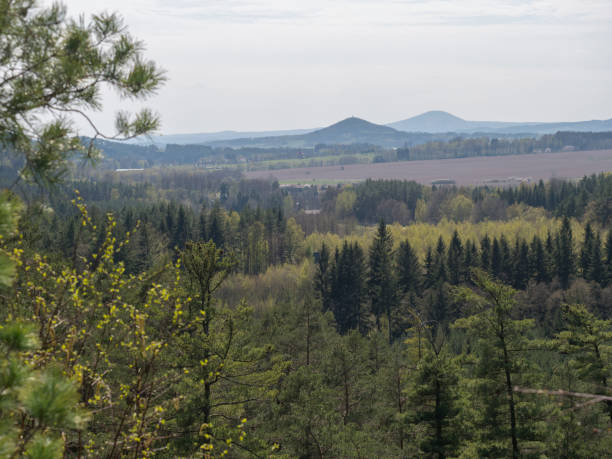 istock Spring landscape in Lusatian Mountains view from sandstone rocks, green hills, fresh deciduous and spruce tree forest. Blue sky background, horizontal, copy space 1416541471